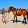 По пляжу можно покататься на лошадях